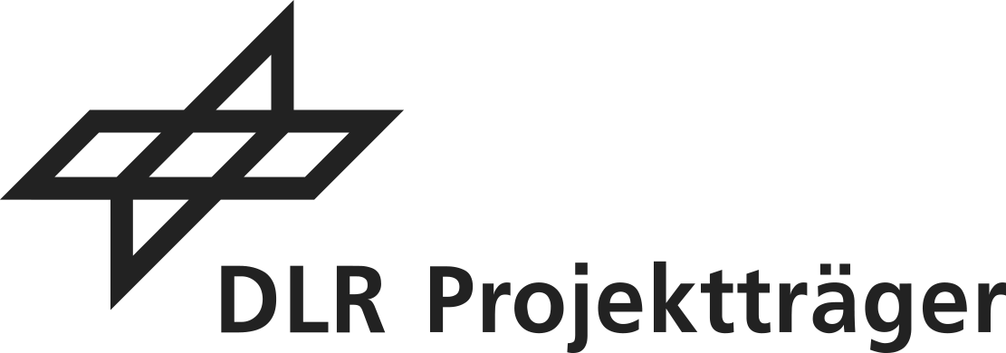 DLR Logo